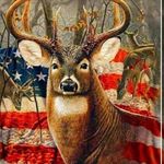 Andrew Levesque - @levesque5174 - Instagram