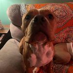 Andrew Limmer-Welsh - @msgoodman81 - Instagram