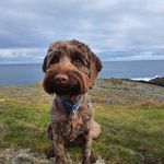 Andrew Loftus - @andrew.loftus.96 - Instagram