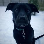 Andrew Losee - @andrewoftrainz - Instagram