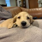 片山 絵俚子 - @andrew_love_love - Instagram