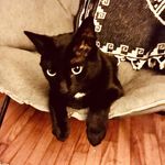 Andrew Lovett - @andrews.lovett - Instagram
