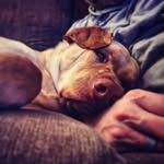Lucius J Andrew - @luciusj.andrew - Instagram