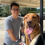 Andrew Lum - @andrewdlum - Instagram