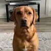 Andrew Lum - @andrewdlum - TikTok