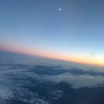 Andrew Lupton - @orangutango - Instagram