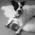 Andrew Luxton - Facebook