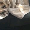 AndrewMabelABbGBP2 - @andrewmabelabbgbp2 - TikTok