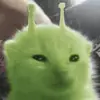 Andrew Maggs979 - @andrewmaggs979 - TikTok