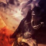Andrew maggs - @andrew_maggs - Instagram