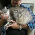 Andrew Makepeace - Facebook