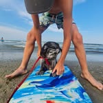 Mara  Andrew - @andrew_mara_haja - Instagram