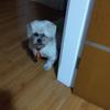 ken_andrew_maranon - @ken_andrew_marano - TikTok