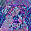 andrewmargolin969 - @andrewmargolin969 - TikTok