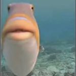 Andrew Marra - @andrewmarra2008 - Instagram