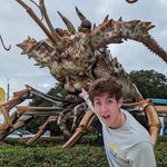 Andrew Massari - @andrewmassari - Instagram