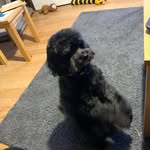 Andrew Mays - @colliermays - Instagram
