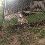 Andrew Mays - @andrew.mays.7731247 - Instagram