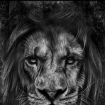 Andrew Mays - Facebook