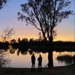 Andrew McAlpine - @mcalpine6540 - Instagram