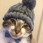 Andrew McCormack - @andrewmccormack1 - Instagram