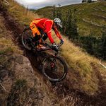 Andrew Mccoy - @andrew.mccoy - Instagram