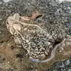 andrewmccoy6 - @andrew.mccoy1 - TikTok