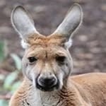 Andrew McKean - @martinplace1136 - Instagram