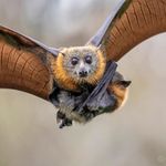 Andrew McNee - @mcnee.andrew - Instagram