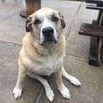 Andrew McWilliams - @ajmcwilliams516 - Instagram