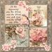 Andrew Jennifer Meade - Facebook
