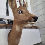 Andrew Mehlhoff - @andrewmehlhoff - Instagram