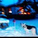 Andy Meichtry - Facebook