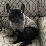 Andrew Mendelson - @mendelson.andrew - Instagram