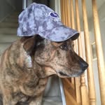 Andrew Menke - @menke_andrew - Instagram