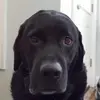 andrewmenke235 - @andrewmenke235 - TikTok