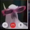 This-is-who? - @metriandrews5 - TikTok