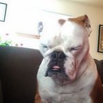Andrew Michels - @drewjmichels - Instagram