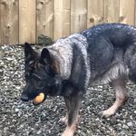 Andrew Milner - @andrew.milner.104 - Instagram