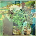 Andrew Milstead - Facebook