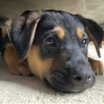 Andrew Mobley - @andrew2009mobley - Instagram