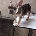 Andrew Mora - Facebook