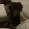 Andrew Moran - @andrew.moran77 - TikTok