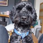Andrew Mosley - @andrewmosley2 - Instagram