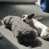 Andrew Mould-Lowe - @andrew.mouldlowe - TikTok