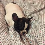Andrew.mould - @andrew_mould - Instagram