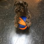 Donald Andrew Moulder - @donaldandrewmoulder - Instagram