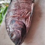Andrew Munn - @andrewmunn7 - Instagram