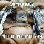 Andrew Munn - @andrew.munn.1276 - Instagram