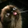 Andrew Munro - @andrew.munro7 - TikTok